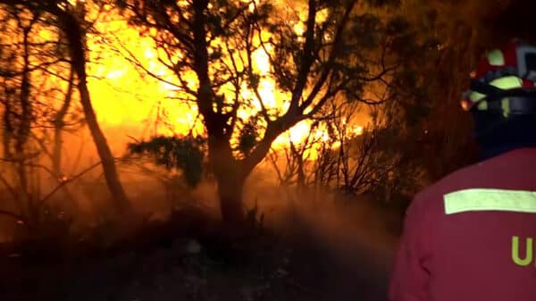 Una implacable ola de calor generó un incendio en España - Fuente: El Intransigente.