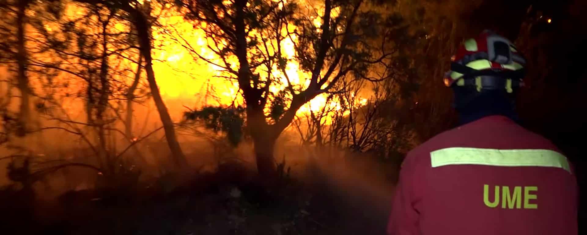 Una implacable ola de calor generó un incendio en España - Fuente: El Intransigente.