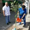 Salta lanza una campaña de recuperación del arbolado urbano - Fuente: Municipalidad de Salta.