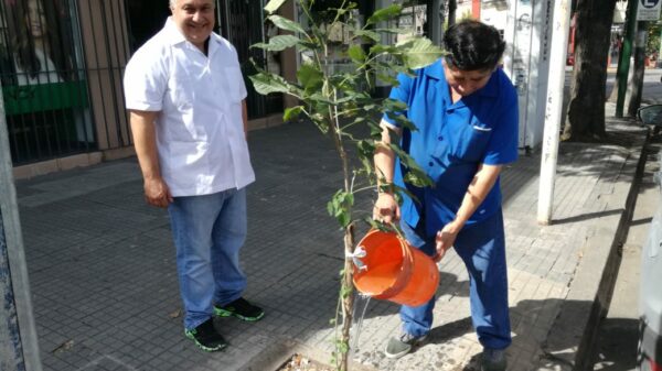 Salta lanza una campaña de recuperación del arbolado urbano - Fuente: Municipalidad de Salta.