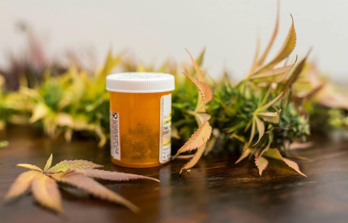Cannabis medicinal en Salta