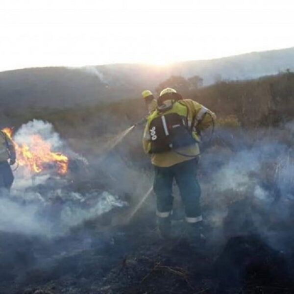 incendios