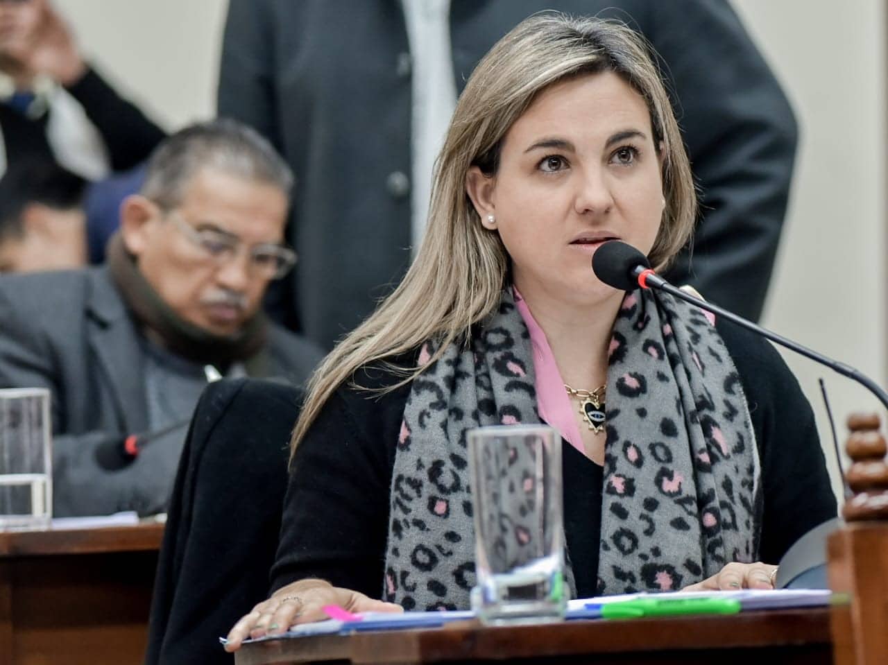 Carolina Am - Concejo Deliberante de Salta