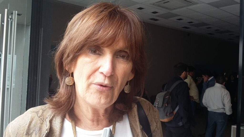 Virginia Cornejo pidió un informe sobre el estado de la Ruta Nacional