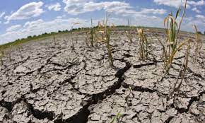 Sequía en Salta, la Nación sigue sin declarar la emergencia | mitreyelcampo