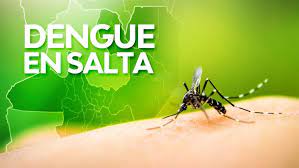 Noticia: Ante el aumento de casos de dengue Salud Pública recomienda  reforzar la prevención