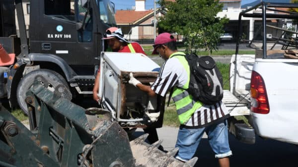 Descacharrado - dengue en Salta