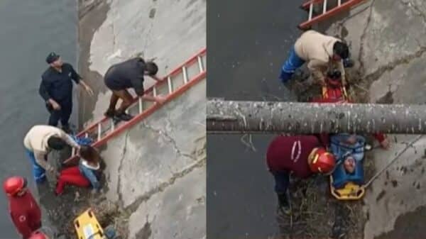 Intento de femicidio